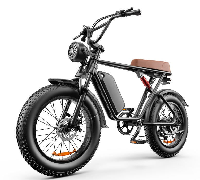 C91™ 20-Inch Fat Tire Electric Bike – 20A/17.5A Battery, Fast EU Shipping