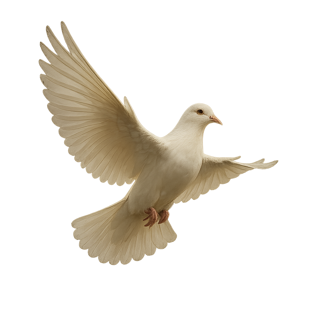 SCOTISHH® GETTO UNIVERSITY™ — Monthly Access + Full Academy Plans